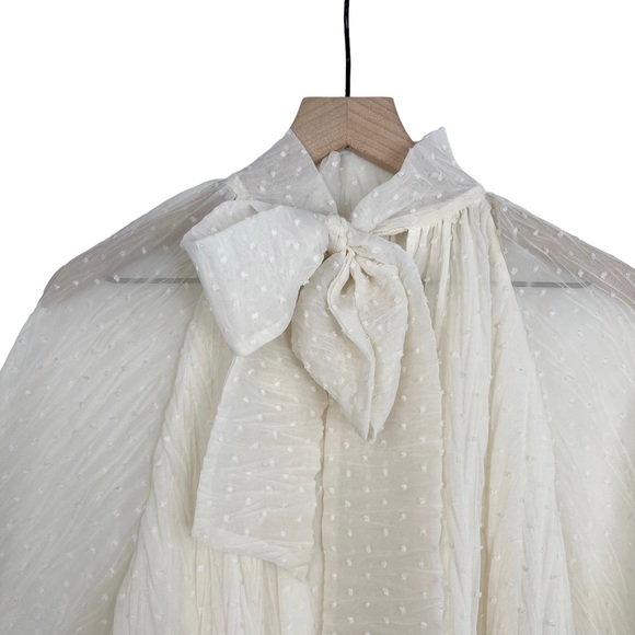 NWT Zara Swiss Dot Sheer Balloon Sleeve Mockneck Peasant Blouse With Bow - Picture 9 of 13